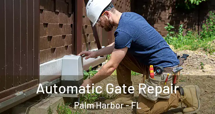  Automatic Gate Repair Palm Harbor - FL