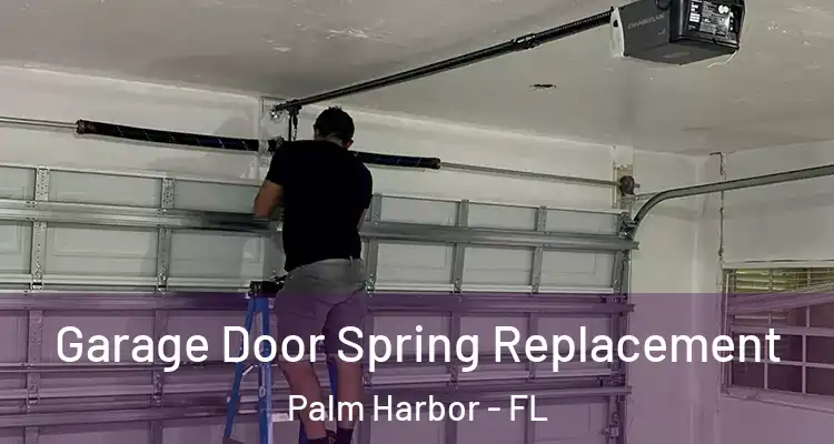 Garage Door Spring Replacement Palm Harbor - FL