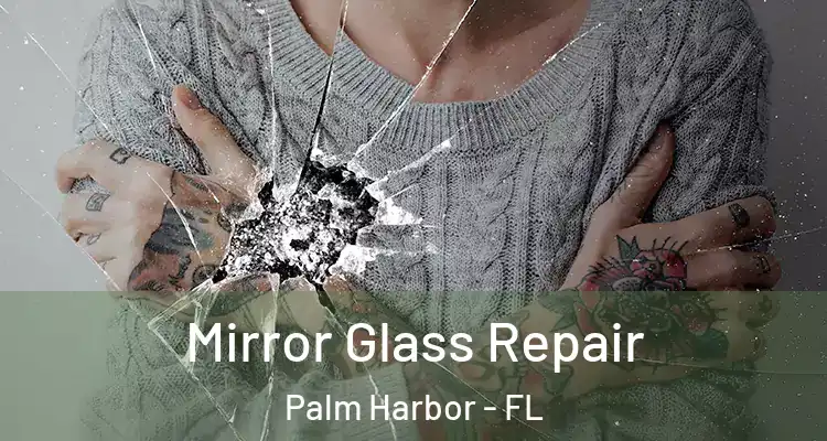  Mirror Glass Repair Palm Harbor - FL