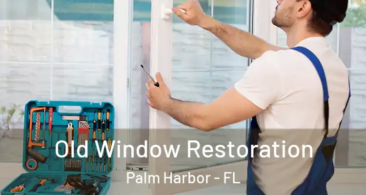  Old Window Restoration Palm Harbor - FL