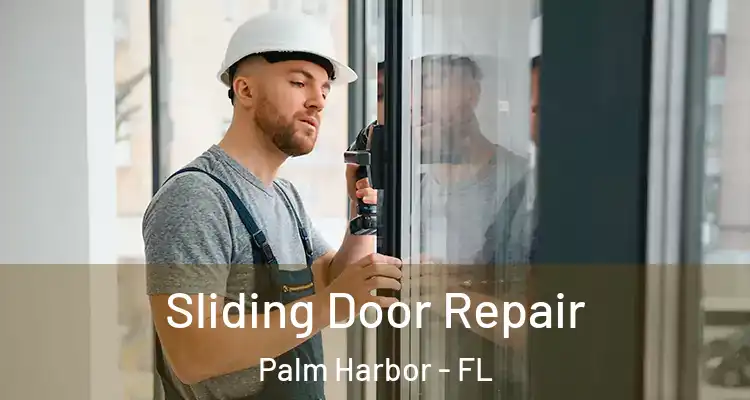  Sliding Door Repair Palm Harbor - FL