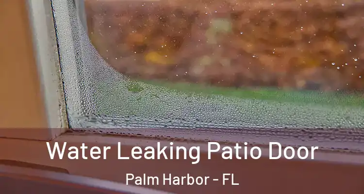  Water Leaking Patio Door Palm Harbor - FL