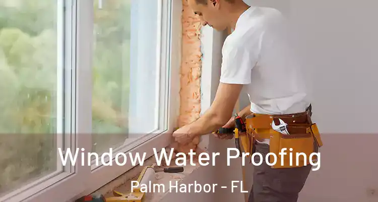  Window Water Proofing Palm Harbor - FL